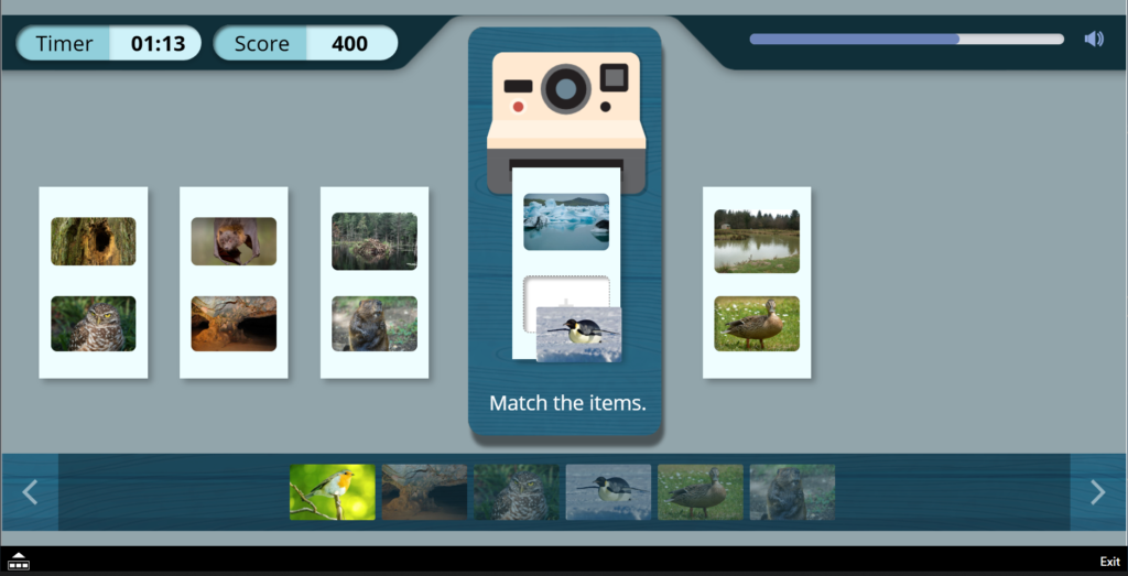 Snap the match matching game